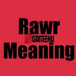 rawr meaning