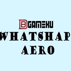 whatshapp aero
