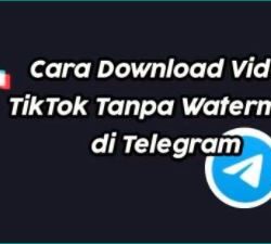 Cara Dapatkan HK Tiktok DL 2 Bot Unduh Video Tiktok No Watermark