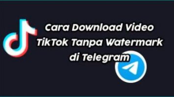 Cara Dapatkan HK Tiktok DL 2 Bot Unduh Video Tiktok No Watermark