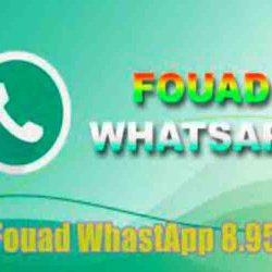 Fouad Whatsapp 8.95 Apk Download Versi Terbaru 2021