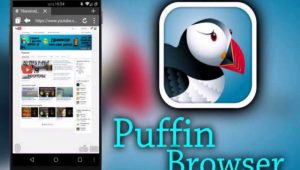 Link Unduh Puffin Pro Apk Terbaru Untuk 