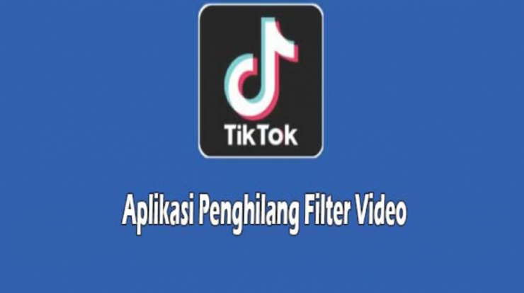 APK Penghilang Filter TikTok