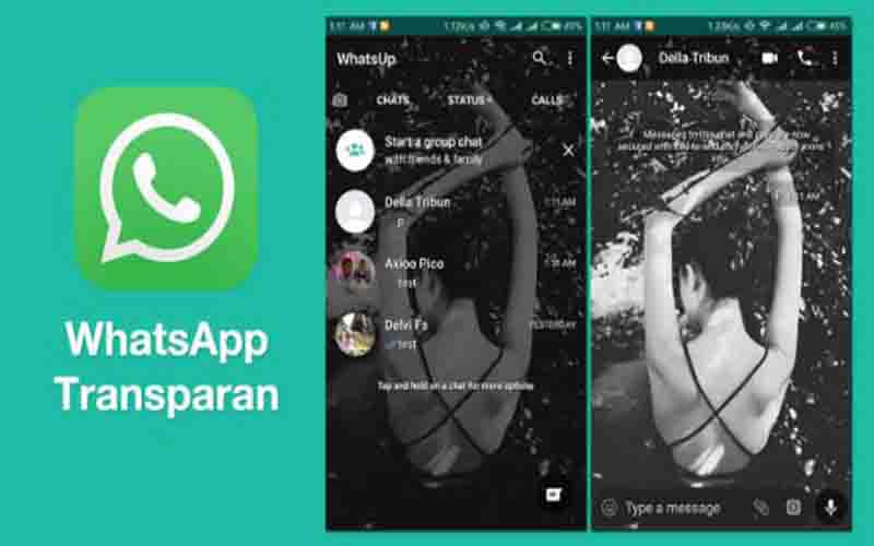 Download Royal WhatsApp Apk Transparan Terbaru 2022