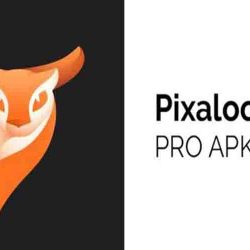 Download Pixaloop Pro Mod Apk Versi Terbaru 2022