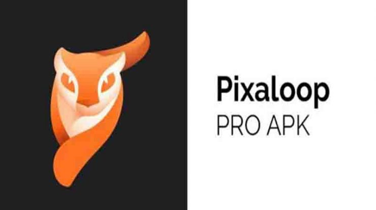 Download Pixaloop Pro Mod Apk Versi Terbaru 2022