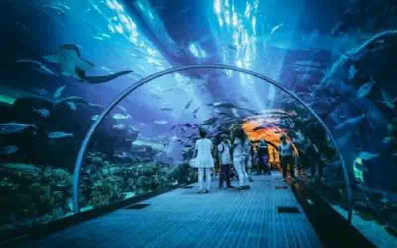 Jakarta Aquarium & Safari: Fasilitas, Harga Tiket Masuk, Jam Buka