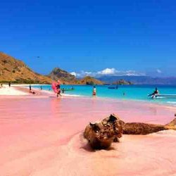 9 Destinasi Pantai Pink Terindah di Dunia yang Wajib Dikunjungi
