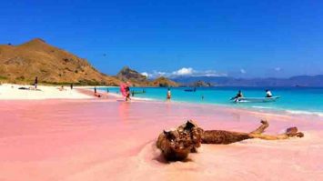 9 Destinasi Pantai Pink Terindah di Dunia yang Wajib Dikunjungi