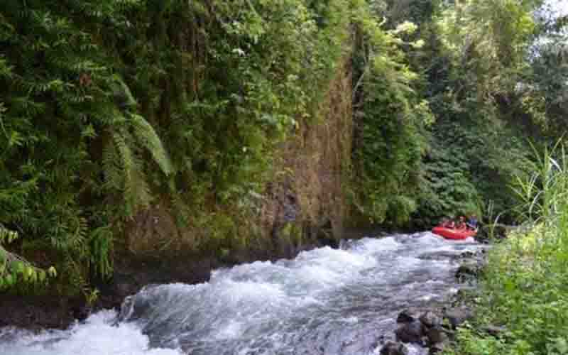 Sungai Ayung (Bali)