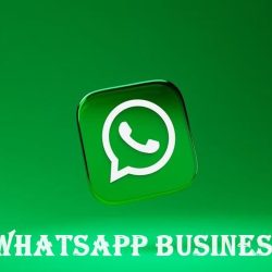 Download WhatsApp Business Apk Versi Terbaru 2022