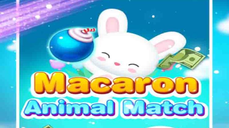 Macaron Animal Match Apk Penghasil Uang Apakah Penipuan?