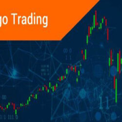 Spot Algorithmic Trading